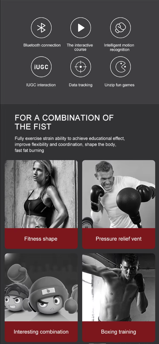 ProCircle Smart Punching Bag: Advanced Training System for Professional Boxers