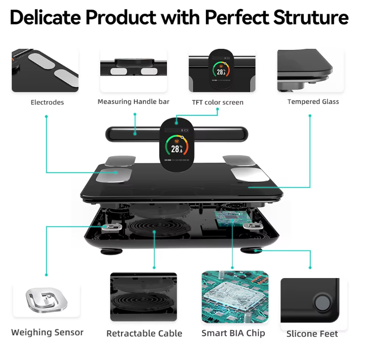 Professional Smart Body Master: Advanced Digital BMI Scale with 29 Essential Health Metrics, Weighs Up to 180 kg