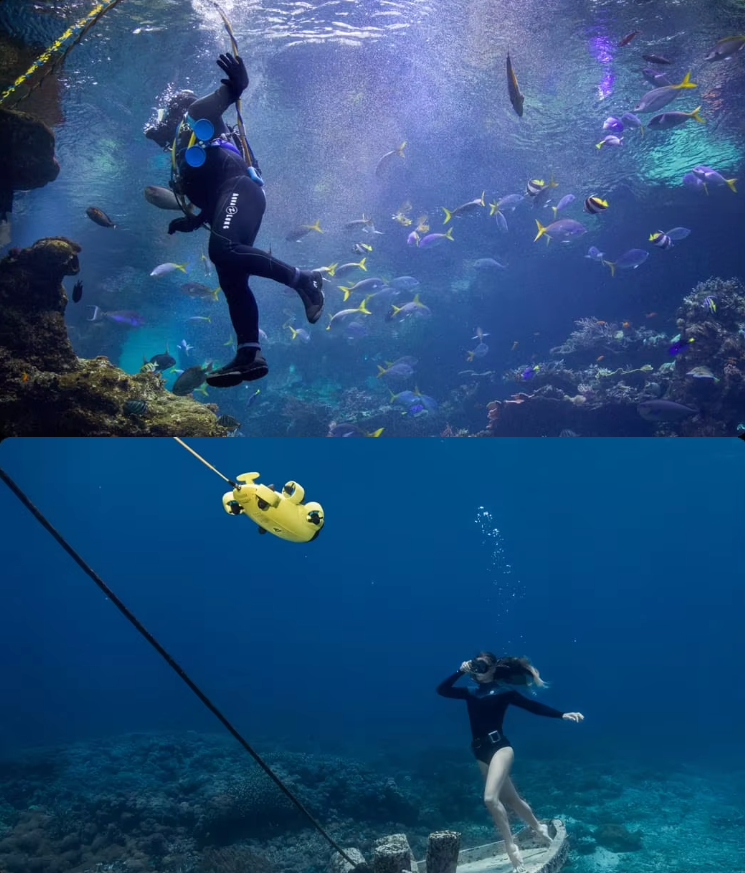 Explore the Depths: Discover the FIFISH V6 Underwater Drone Adventure