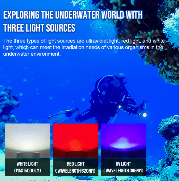 Illuminate Your Underwater Adventures: Discover the DF90 Diving Flashlight!