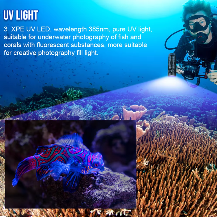 Illuminate Your Underwater Adventures: Discover the DF90 Diving Flashlight!