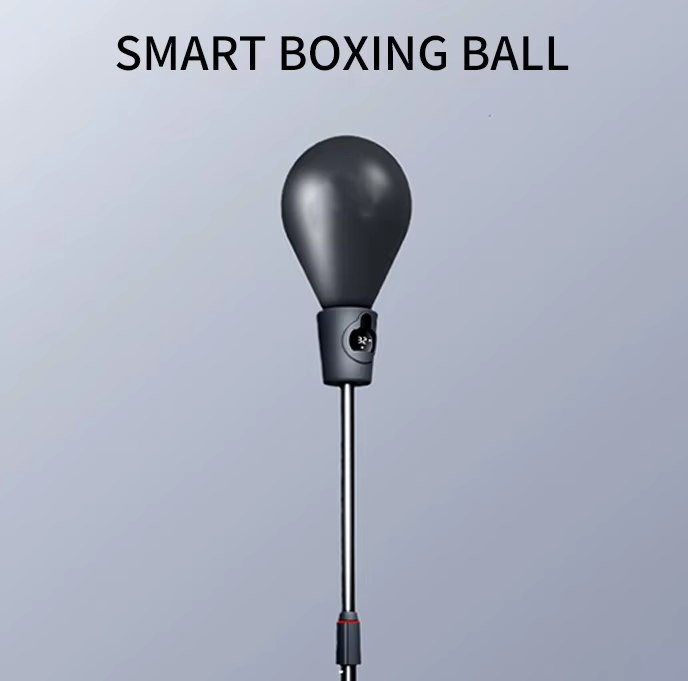 ProCircle Smart Punching Bag: Advanced Training System for Professional Boxers