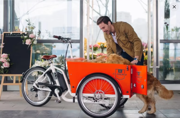 Clamber Electric Cargo Bike: The Fun, Eco-Friendly Ride for Family Adventures and Everyday Errands